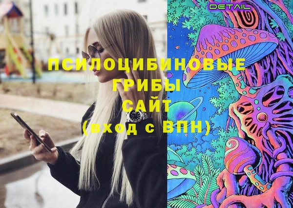 Альфа ПВП Зеленокумск