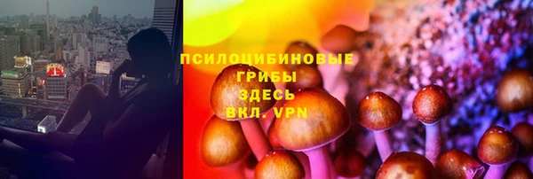Альфа ПВП Зеленокумск