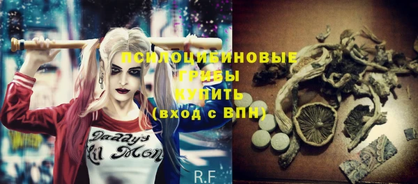 прущие грибы Зеленодольск