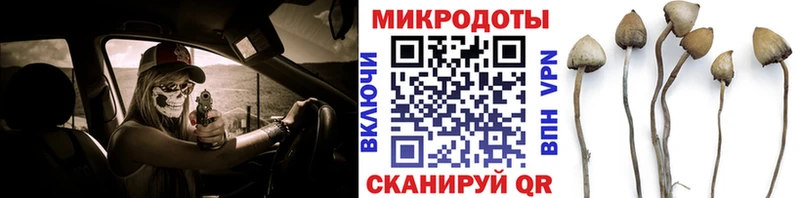 Псилоцибиновые грибы Cubensis  Себеж 