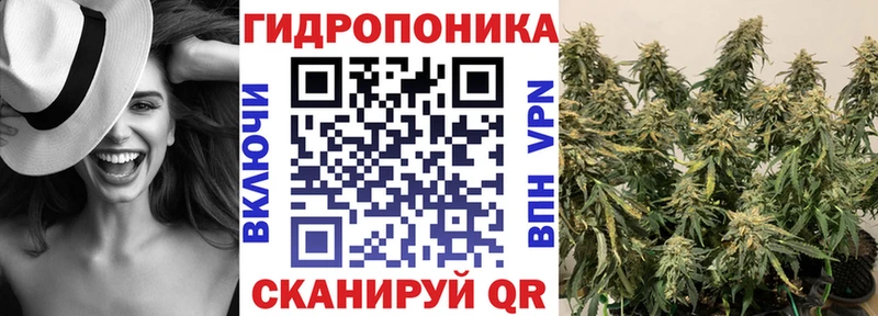 купить   Себеж  Марихуана VHQ 